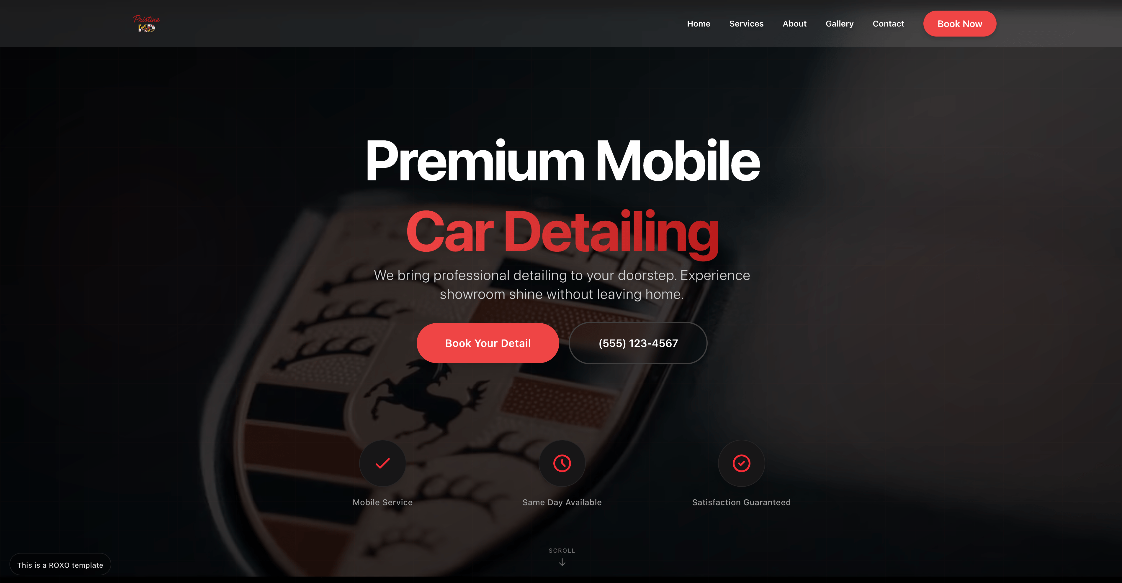 Auto detailing website built with ROXO Hub